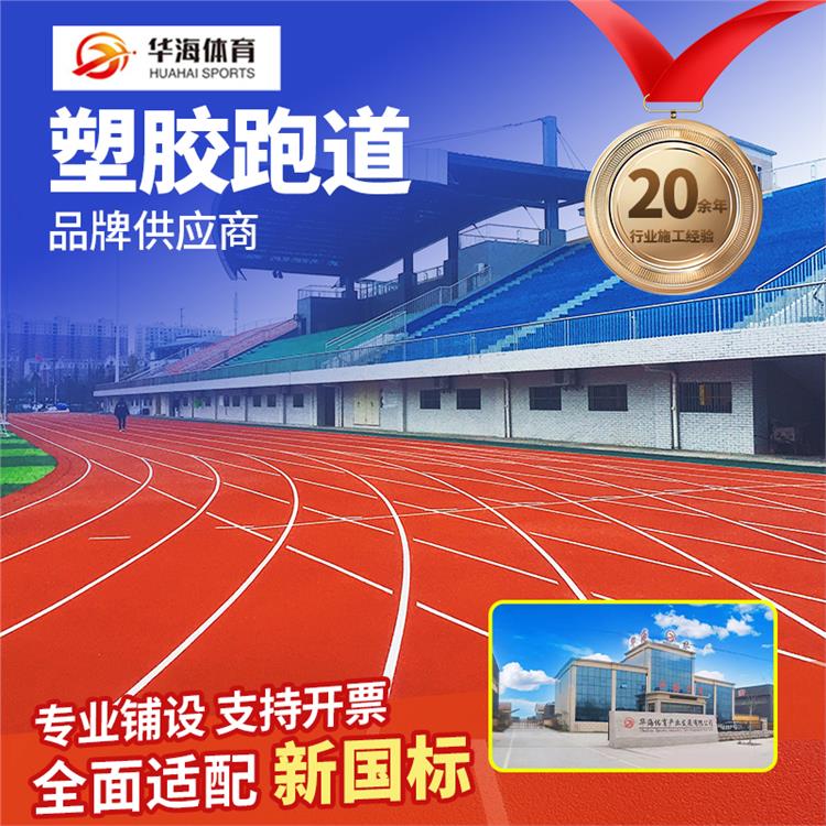 铜陵市人造草坪预制跑道卷材 - 方案